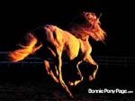 bpp_desktop08