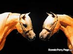 bpp_desktop28