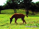 bpp_desktop36