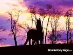 bpp_desktop39