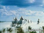 bpp_desktop49