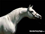 bpp_desktop51