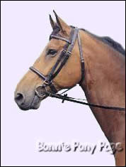 Hoge of Engelse neusriem